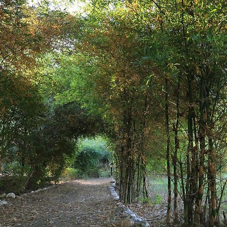 Parwati Wild Abode Corbett Resort Dhela Exterior photo